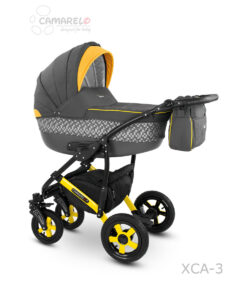 Carera2017-XCA03